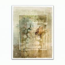 Not Fade Away by Lynn Nafey