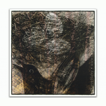 The Nest - Lynn Nafey