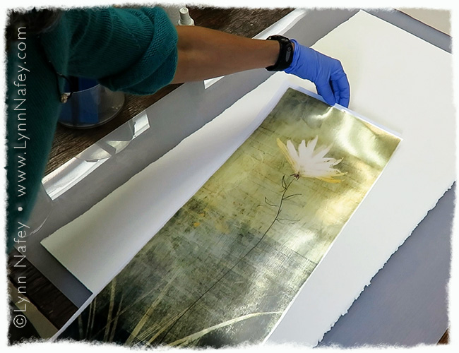 Deckled paper and printed carrier film of "Rising"