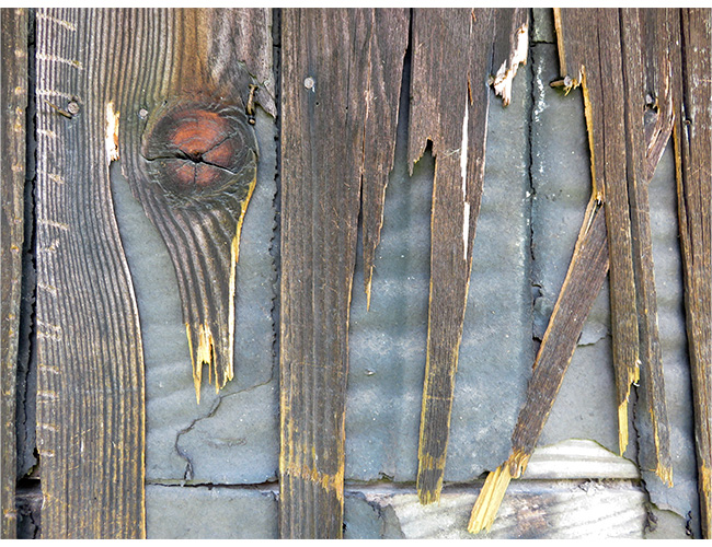 Photographed barn texture used in "Apples For Sale" by Lynn Nafey