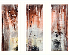 Lynn Nafey - Apples For Sale (triptych) - Limited Edition Pigment Transfer Print