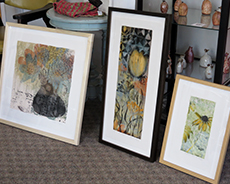 Lynn Nafey's framed artwork at Artists Corner & Gallery in West Acton, MA