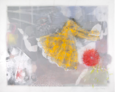 Sweet and Sour - Mixed media art by Lynn Nafey